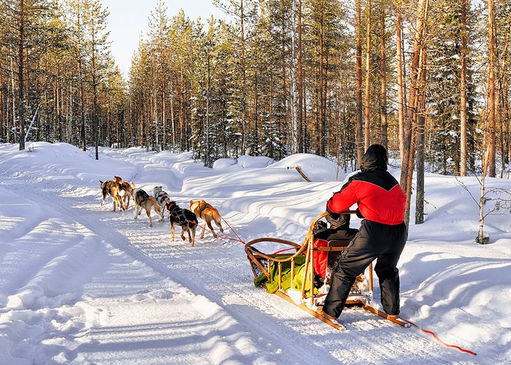 Go Skiing or Ride a Dogsled